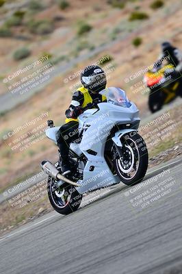 media/Apr-26-2025-2WTD (Sat) [[797c348bd3]]/C Group/240pm/